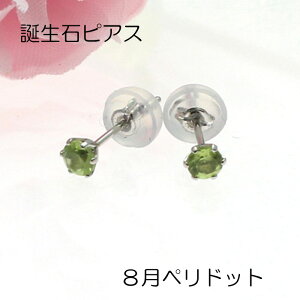 a sAX 8 yhbg v`i X^bh Pt900 AM[Ή 6{܁@ԁ@PT VRLb`t ig ZJhsAX v[g o[Xf[Xg[ 