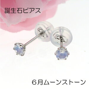 a sAX 6 [Xg[ v`i900 X^bh Pt900 AM[Ή 6{ ꗱ  PT VRLb`t ig ZJhsAX v[g o[Xf[Xg[