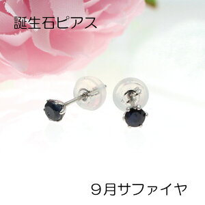 a sAX 9 Tt@C v`i X^bh Pt900 AM[Ή 6{ ꗱԁ@PT VRLb`t ig ZJhsAX v[g o[Xf[Xg[ 