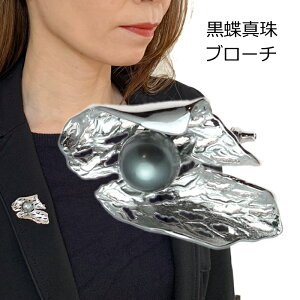 yP5{+N[|zu[` ^ m 10mm y_g O[ SILVER  XJ[t OlbNX ߋ 2A  p[ ubNp[ ^q` ʖ  V
