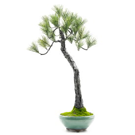 A-BONSAI Bunjin 盆栽 中品 文人木樹形 インテリア 和装飾 昭和レトロ レトロモダン メインテナンスフリー盆栽 置物 高さ53cm 幅30cm 奥30cm 日本製 メイドインジャパン