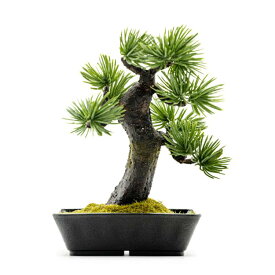 A-BONSAI Mini Moyogi 盆栽 小品 模様木樹形 インテリア 和装飾 昭和レトロ レトロモダン メインテナンスフリー盆栽 置物 高さ14cm 幅13cm 奥11cm 日本製 東京製 メイドイン東京