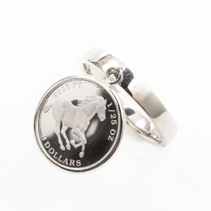 y󒍐Y ͂3`4Tԁz v`i Pt999 z[XRC Ԃ烊O O n n GUxX 1/25IX co  v`iRC GUxX2 RCO ͂ߍ݃^Cv 