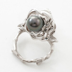 o ^tu[`pKlz_[ Zj[RT[W u[`  Ǝ w  p[ t[  }}X[c p[eBhX }}    w  