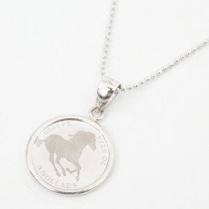 v`i z[XRC 1/25IX y_g Pt900 Vvg Vo[925 Jbg{[`F[t 