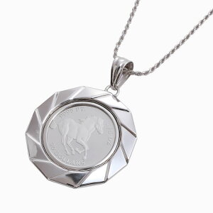 ツメのないフセコミ リバーシブル枠純プラチナ プラチナ ホースコイン ペンダントネックレス 地金 馬 エリザベス 1/5オンス 6.2gカットロープ チェーン プレゼント ツバル製【smtb-k】 金貨