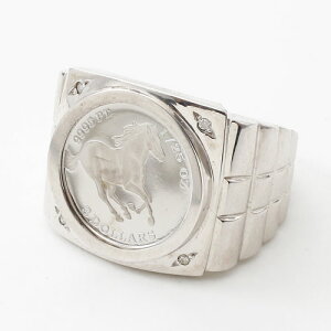 󒍐Yi ͂ɖ2`3Tԑ ANZT[ O w RC  n v`i Pt999 PLATINUM ng@DIAMOND _Ch { co n z[X jp Y f