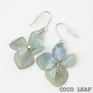 NEW!!yzVRf sAX  z XtXL[ Rfށ@킢 p nhCh 蕨 Mtg v[gVv ANZT[  fB[