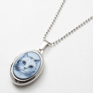 Pbgy_g Vo[ L fUC JI v[g ʐ^ Lbg SV925 Jbg{[`F[t  Mtg yAANZT[ hCc MERZ