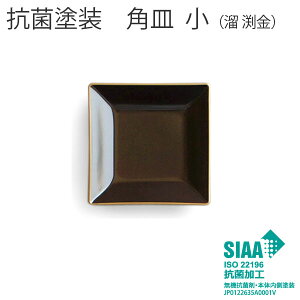 抗菌塗装 お皿 正方形【角皿 小 溜渕金 樹脂製 おせちプレート】 盛皿 小皿 電子レンジOK 食洗機OK