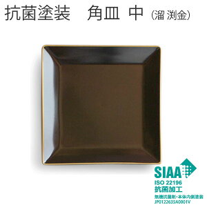 抗菌塗装 お皿 正方形【角皿 中 溜渕金 樹脂製 おせちプレート】 取り皿 盛皿 小皿 電子レンジOK 食洗機OK