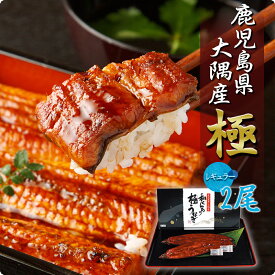 楽天市場 うなぎ 鹿児島の通販