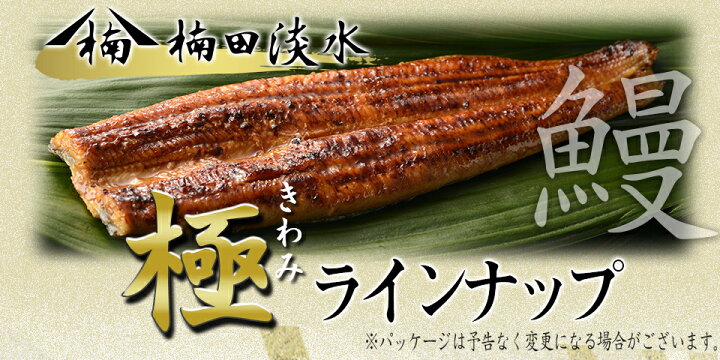 楽天市場】【国産 鹿児島のうなぎ4本セット 蒲焼2本 白焼き2本 大サイズ 】白焼き うなぎ 国産 4尾 鰻 蒲焼き 尾頭付き 真空パック ギフトセット ギフト 丑の日 お祝い お返し 化粧箱 のし クール便 プレゼント 内祝い 熨斗 箱入り 鹿児島 ウナギ 山椒付き 贈答 贈り物 土 ... 楽天市場】【国産 鹿児島のうなぎ4本セット 蒲焼2本 白焼き2本 大サイズ 】白焼き うなぎ 国産 4尾 鰻 蒲焼き 尾頭付き 真空パック ギフトセット ギフト 丑の日 お祝い お返し 化粧箱 のし クール便 プレゼント 内祝い 熨斗 箱入り 鹿児島 ウナギ 山椒付き 贈答 贈り物 土 ...