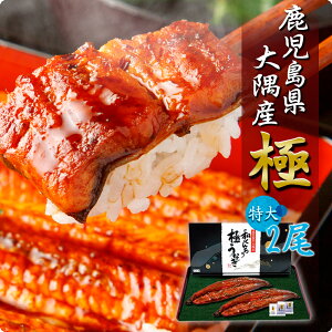 Y ̂Ȃ Ă TCY2Zbg Ȃ Y 2 V Ă t ^pbN MtgZbg Mtg N̓ ϔ ̂  N[ l   EiM R