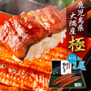 yY ̂Ȃ Ă TCY2 Zbgz V 2 V  t ^pbN Mtg Hi N̓ j ϔ ̂ Y N[   EiM O R V