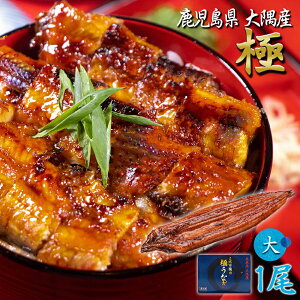 ySALE 50%OFFz唻ȂĂ y YzȂ V TCY1 ^pbN Ⓚ ϔ ̂ Rt   Ă t ^pbN Mtg j N[ ϔ 