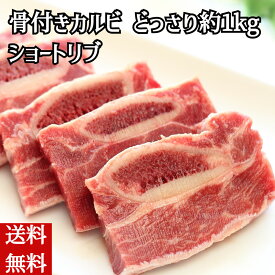 ＼父の日／送料無料 骨付きカルビ ショートリブ どっさり約1kg 冷凍便 業務用 大盛り 特盛 メガ盛り BBQ 焼肉 焼肉パーティー アウトドア 内祝い