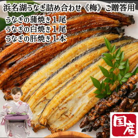 ＼母の日／浜名湖 うなぎ詰め合わせ《梅》ご贈答用 蒲焼き1本 白焼き1本 肝焼き1本 蒲焼 白焼き 肝焼 国産 浜松うなぎ 鰻 ウナギ 丑の日 化粧箱入り 贈答 産地直送 冷凍便 真空パック 土用の丑 内祝い