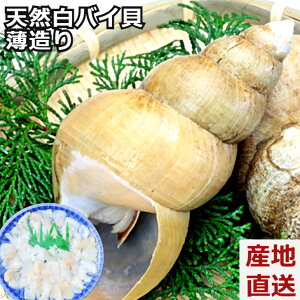 高級 魚 刺身 貝の人気商品 通販 価格比較 価格 Com