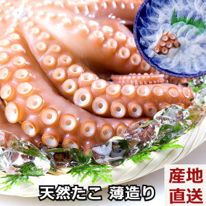 高級 魚 刺身 イカ タコの人気商品 通販 価格比較 価格 Com