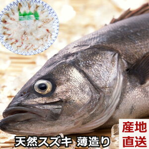 魚 すずき 魚の人気商品 通販 価格比較 価格 Com 魚 すずき 魚の人気商品 通販 価格比較 価格 Com