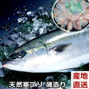 寒ブリ 魚の人気商品 通販 価格比較 価格 Com