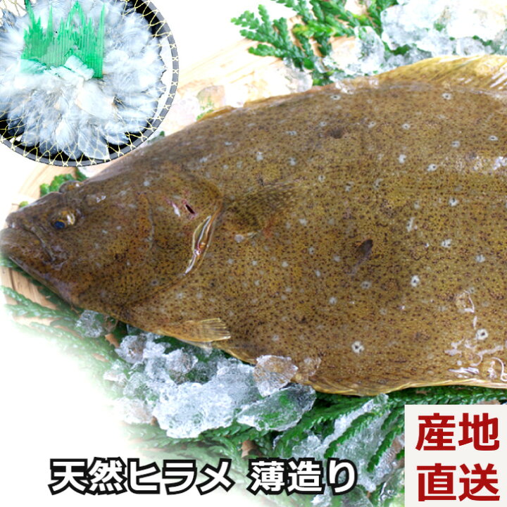 楽天市場 エントリーでp10倍 天然ヒラメの薄造り 平目 ひらめ 真空急速冷凍 島根県 大田市 一日漁 高級魚 刺身 海鮮ギフト プレゼント 熨斗対応 冷凍便 産地直送 送料無料 内祝い お歳暮 御歳暮 グルメダイニング友楽堂