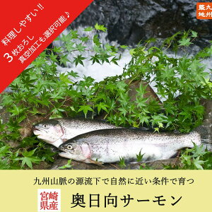 y{茧Y T[ 1 0.9-1.2Kg ȂtB^Hz T[ hg N Yn lΉ ①  CNMtg j