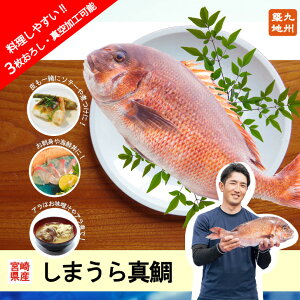 y{茧Y ܂^ yZbg 1 2.2kg`2.4kg ^pbNH O낵Hz ^  hg N Yn lΉ ①  CNMtg j