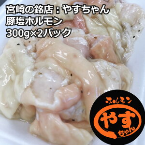 ySALE 50%OFFzY ؉z 600g { ₷  Y `̂ ܖ90 Ⓚ z BBQ zZbg Yn {O 300g×2pbN j