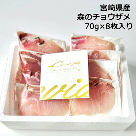 ＼父の日／【宮崎県産 森のチョウザメ 切身8枚入り 冷凍便】産地直送 熨斗対応 冷蔵 お取り寄せ 海鮮ギフト 内祝い