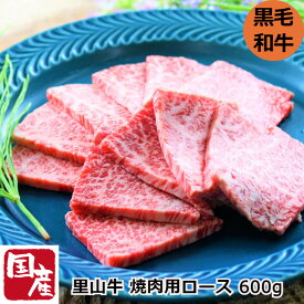 ＼父の日／里山牛 焼肉用ロース 600g 肩ロース 150g x4パック 国産 黒毛和牛 鹿児島産 宮崎産 牧草飼育 真空パック クール便 赤身肉 さかうえ 冷凍便 お取り寄せ 産地直送 ギフト プレゼント 熨斗対応 名入れ可 内祝い