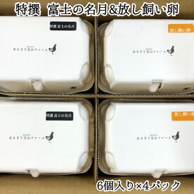 ＼父の日／【特撰 富士の名月&放し飼い卵 6個入り×4パック】クール冷蔵便 卵 たまご 生卵 マルフク 返礼品 ギフト プレゼント 贈り物 贈答 新鮮 送料無料 お取り寄せ 内祝い