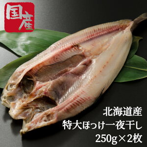  kCY ^ق TCY 2 銱  Ⓚ MtgΉ l Iz[cNYkC ق zbP  Ă CNMtg J j