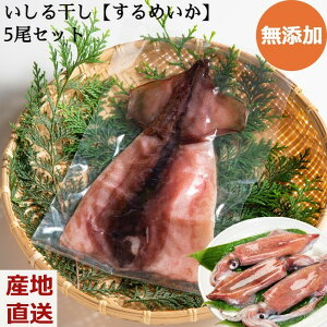 Y 銱y߂z5Zbg ܂  ^pbN  CJ G N[ ΐ쌧 \oY Mtg v[g Yn   lΉ j