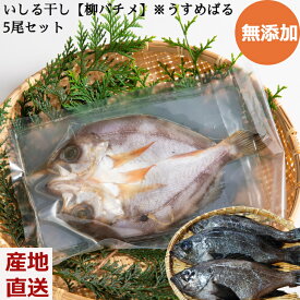 無添加 いしる干し【柳バチメ】うすめばる 5尾セット 個包装 真空パック 干物 めばる クール便 石川県 能登産 ギフト プレゼント 産地直送 お取り寄せ 送料無料 熨斗対応 内祝い