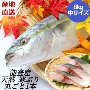 魚 ハマチ 天然の人気商品 通販 価格比較 価格 Com