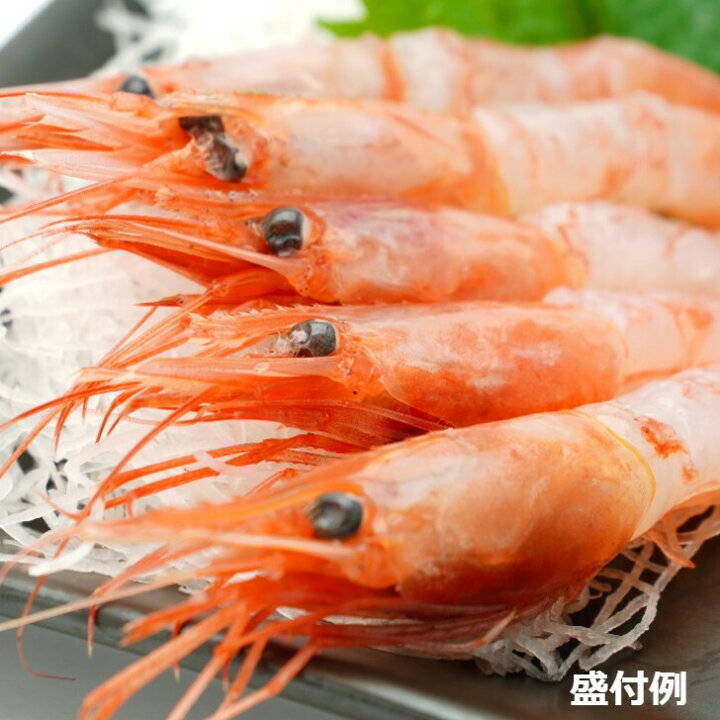 楽天市場 北陸産 子持ち甘エビ 50尾 クール冷蔵便 お刺身用 アマエビ えび あまえび 甘えび 石川県産 日本海 海鮮 国産 ギフト プレゼント お歳暮 年賀 お正月 産地直送 お取り寄せ 送料無料 グルメダイニング友楽堂