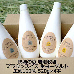 q̌b ␣qꐶ[Og uEXCX[Og 520g×4{ i×2E×2) 100 HACCP N[  Ⓚ lΉ  Mtg  LO Yn j