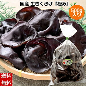 Y 炰wɂ݁x500g Y 炰 ؎ LNQ r^~D H@ JVE S Yn 