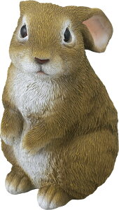 ~j Z[uC_Xg[ SV-5868 u rw-i-SV-5868 v[g Mtg 蕨 