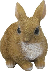 ̂肤 Z[uC_Xg[ SV-5967 u rw-i-SV-5967 v[g Mtg 蕨 