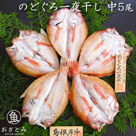 ＼父の日／お取り寄せ のどぐろ一夜干し 中5尾 （125～150g×2枚 150～175g×3枚）ノドグロ アカムツ 干物 干物セット のどぐろ干物 国産 島根産 贈答 贈り物 プレゼント お土産 産地直送 お取り寄せグルメ 無添加 海鮮ギフト 内祝い