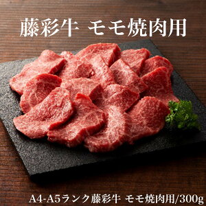   ʋ ēp  A4 A5   ē LjN Ⓚ a ԗi Mtg v[g 蕨  j