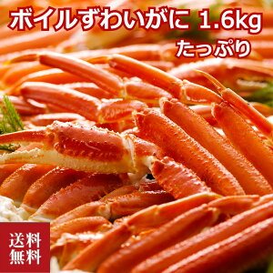 {C킢 1.6kg Jj I YCKj N[ {CI {CJj {C 킢 v[g  蕨 j lߍ킹 ԗi  Mtg CNMtg Y Yn