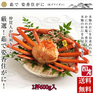 IIZ 䥂 600gRA Z`Y ug킢ɁvVN N[ ^Ot vg  Mtg l I ZJj Jj {C YCKj }Y  j