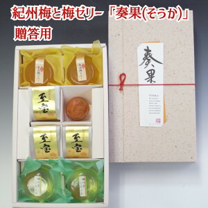 IB~Ɣ~[[ut()v a̎RY IB썂~ Mtg   Yn  j 242