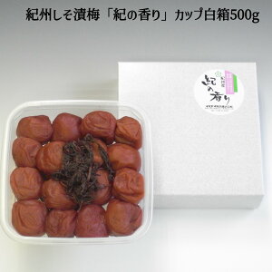 IBYIBД~uI̍vJbv500g ~ IB썂~ Mtg   Yn  j