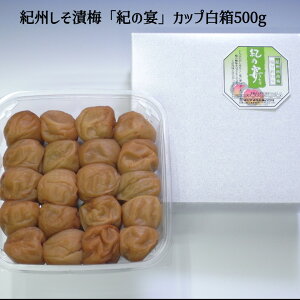 IBYIBД~uỈvJbv500g ~ IB썂~ Mtg   Yn  j
