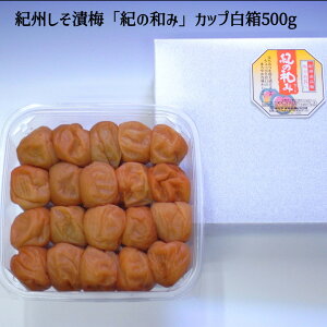 IBYIB uI̘a݁vJbv500g ~ I~ IB썂~ Mtg   Yn  j